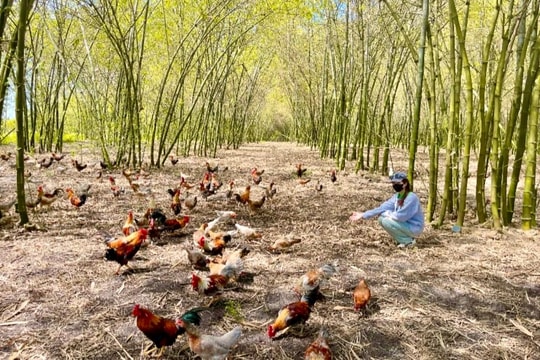 Thay đổi tư duy “làm cái có” sang “làm cái thị trường cần”