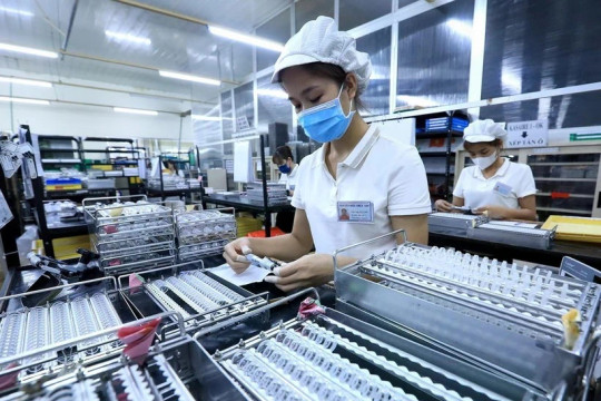 Chính phủ bãi bỏ toàn bộ hoặc một phần đối với 10 nghị định