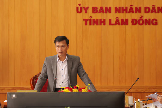 Chuẩn bị cho Festival Hoa Đà Lạt - Lâm Đồng lần thứ XI năm 2026