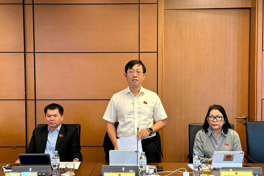 Đoàn ĐBQH Lâm Đồng góp ý tháo gỡ vướng mắc chồng lấn quy hoạch khoáng sản