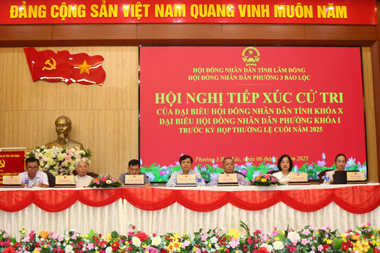 Cử tri Phường 3 Bảo Lộc kiến nghị liên quan đến đất đai, công tác cán bộ