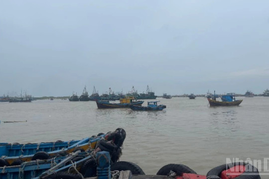 Lâm Đồng: Hơn 4.300 tàu cá đã vào tránh bão an toàn