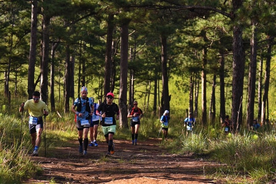Dừng tổ chức Giải chạy địa hình Lâm Đồng Trail - 2025 do ảnh hưởng bão Kalmaegi