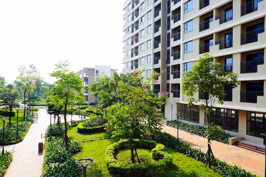 Bán, cho thuê, cho thuê mua nhà ở xã hội không đúng đối tượng quy định bị phạt đến 160 triệu đồng