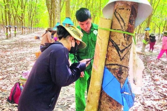 Tiếp sức người lao động vùng biên giới