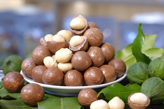 Nhãn hiệu chứng nhận “Mắc ca Lâm Đồng" - Đòn bẩy để “Kim cương xanh” vươn tầm quốc tế