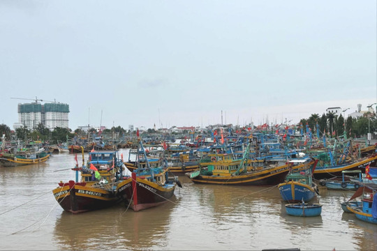 Các địa phương ven biển Lâm Đồng chủ động ứng phó trước bão số 13