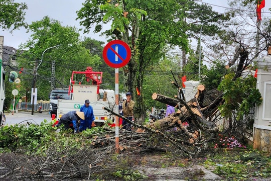 Các phường khu vực Đà Lạt cho học sinh nghỉ học để phòng tránh bão số 13