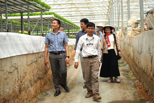 Bổ sung nhà thầu dự án cải thiện cơ sở hạ tầng phát triển nông nghiệp