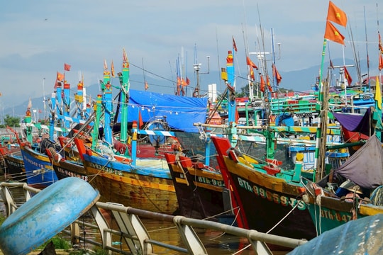 Lực lượng vũ trang tuyến biển Lâm Đồng cùng ngư dân ứng phó bão KALMAEGI