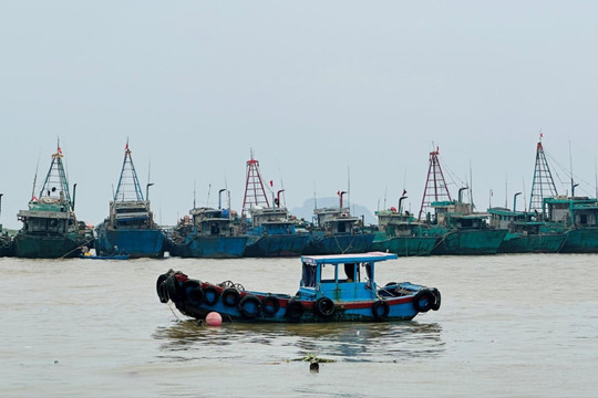 Lâm Đồng cảnh báo thời tiết nguy hiểm do ảnh hưởng hoàn lưu bão
