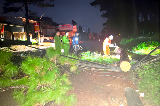 Xã Quảng Sơn kịp thời ứng phó, khắc phục hậu quả ảnh hưởng bão số 13