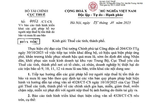 Công văn 4952/CT-CS: Báo cáo tình hình hỗ trợ người nộp thuế bị tổn thất do bão và mưa lũ sau bão