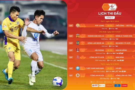 V-League vòng 11: Ninh Bình gặp CA TP HCM ở Thống Nhất