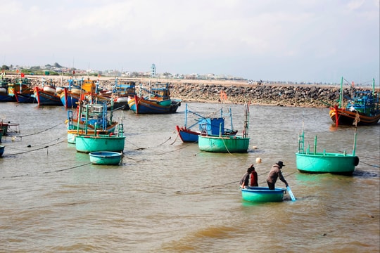 Liên Hương chuyển mình từ kinh tế biển đến nông nghiệp