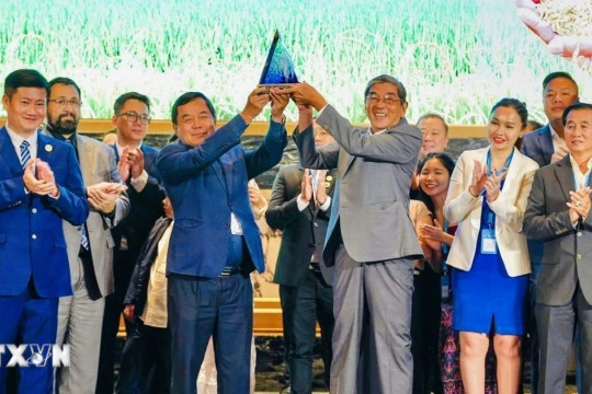 Gạo ST25 của Việt Nam tiếp tục thắng giải gạo ngon nhất thế giới