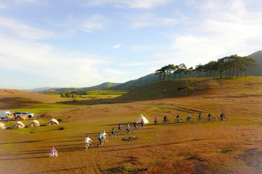 Travelers Fall in Love with Da Lat’s Nature Experiences
