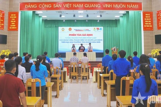 Tuổi trẻ TP Hồ Chí Minh tổ chức sôi nổi chuỗi hoạt động hưởng ứng Ngày Pháp luật