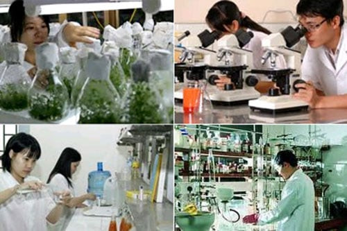 Đối tượng xét tặng Kỷ niệm chương đối với cá nhân công tác trong ngành Khoa học và Công nghệ 2025
