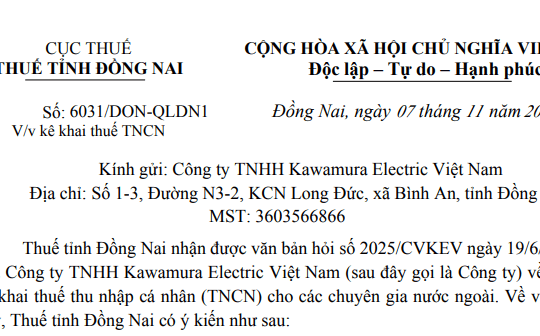 Công văn 6031: Hướng dẫn mới nhất về kê khai thuế thu nhập cá nhân cho các chuyên gia nước ngoài