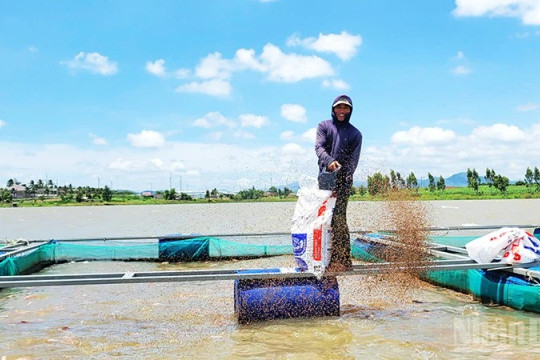 Mô hình sinh kế bền vững cho người dân Cửu An