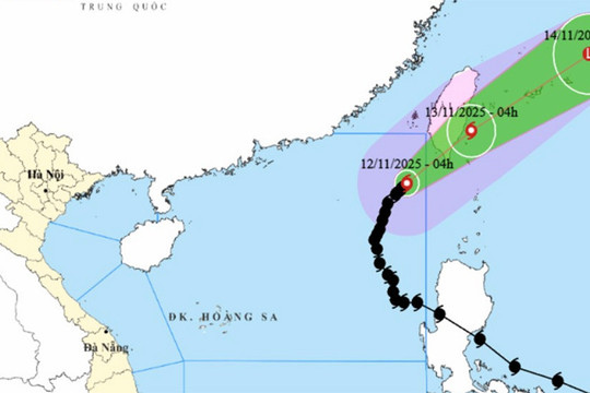 Tin bão số 14 Phượng Hoàng mới nhất: Giật cấp 11, hôm nay ra khỏi Biển Đông