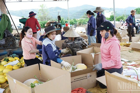 Phát triển nông nghiệp hiệu quả và bền vững tại Ia Phí