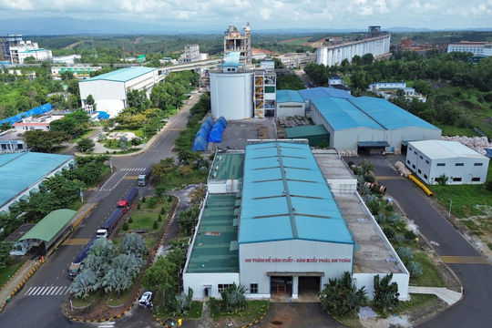 Đồng hành với sự phát triển bền vững của doanh nghiệp