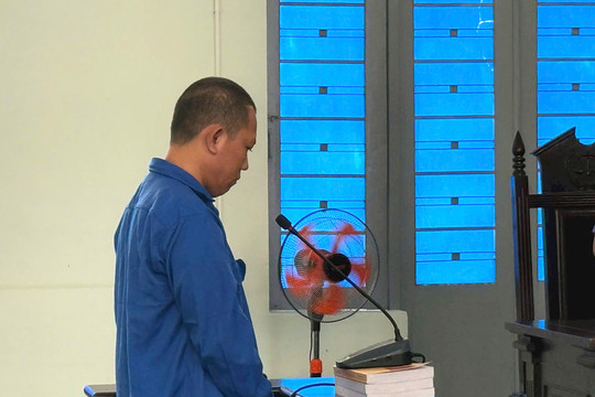 Lãnh án vì trộm tài sản của "thần bài" gốc Việt