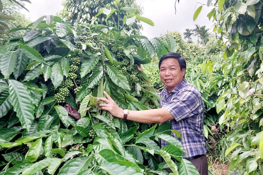 Khi dân chủ được phát huy trong xây dựng nông thôn mới