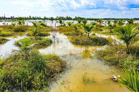 Nam Thành ước thiệt hại hơn 5,1 tỷ đồng do lũ quét