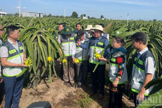 Kiện toàn hệ thống khuyến nông cơ sở sau khi đưa về chính quyền địa phương