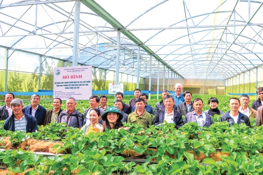 Kiểm kê phát thải khí nhà kính để xanh hóa ngành nông nghiệp