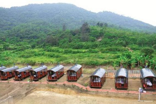 Thủ tục đăng ký sử dụng đất nông nghiệp kết hợp thương mại, dịch vụ