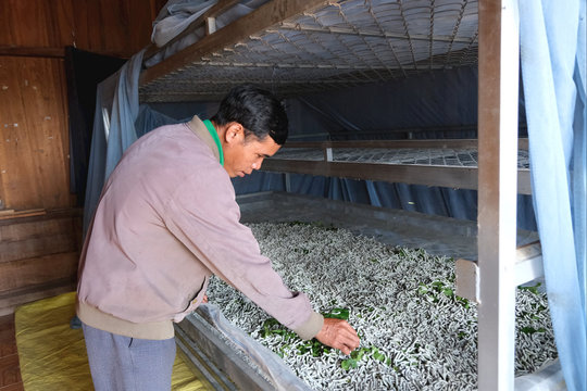 Đam Rông 4 vun bồi sinh kế cho đồng bào dân tộc thiểu số