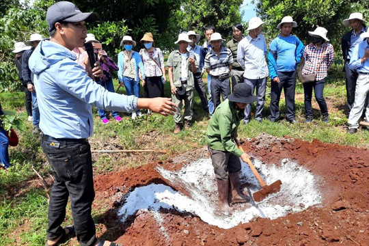 Mỗi ngày phát sinh 2.550 tấn rác thải sinh hoạt