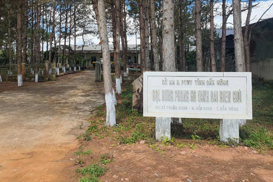 Phó Giám đốc Ban quản lý rừng phòng hộ biên giới bị bắt vì lừa đảo