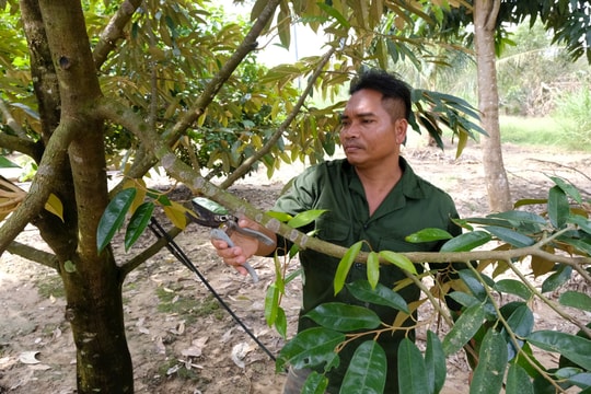 Sức sống mới trên vùng đất Cát Tiên 2