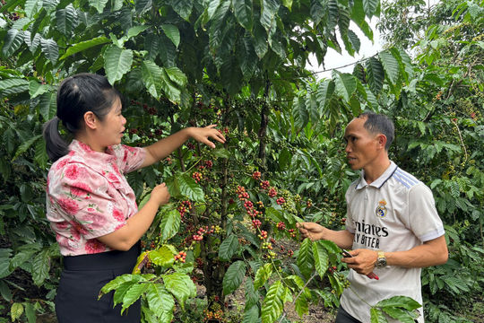 Ðồng bào thôn Ða Tế đoàn kết, hòa thuận vượt qua đói nghèo