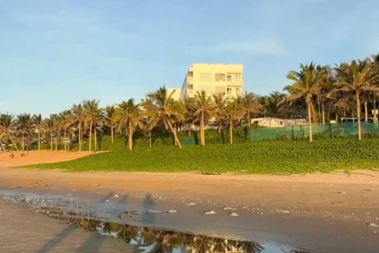 Bị xử phạt 50 triệu đồng vì xả nước thải ra biển Mũi Né
