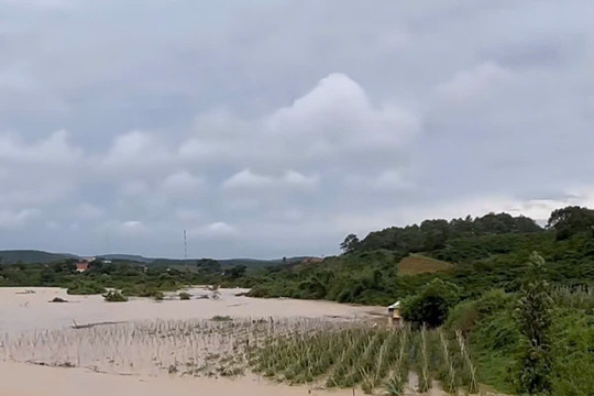 Hơn 10ha rau màu ở Tà Năng bị ngập úng do mưa lũ
