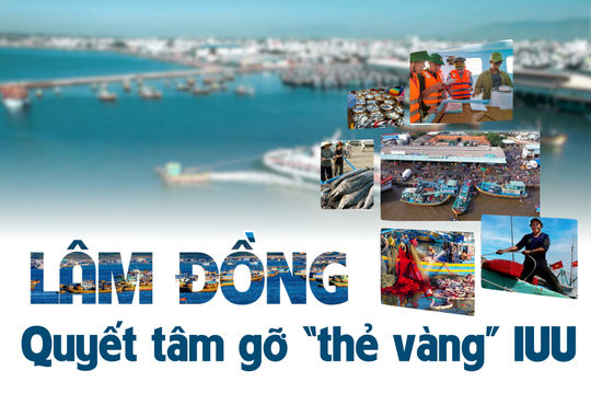 Lâm Đồng quyết tâm gỡ “thẻ vàng” IUU