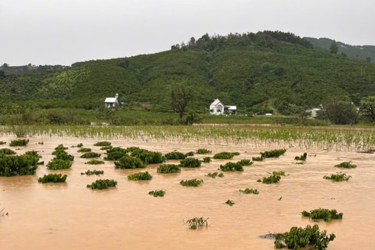 Lũ trên sông Cam Ly duy trì ở mức báo động III, biển Lâm Đồng xuất hiện gió mạnh, sóng lớn