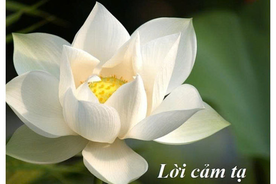 Lời cảm tạ của gia đình bà Mẹ Việt Nam Anh hùng Lê Thị Chững