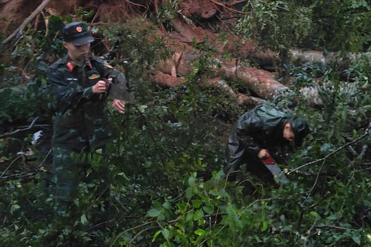 Bộ CHQS Lâm Đồng khẩn trương xử lý cây gãy đổ chắn ngang đèo Mimosa
