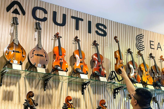 Acutis - Lựa chọn hoàn hảo cho người bắt đầu với đàn violin và cello