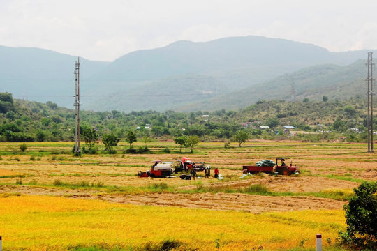 Vĩnh Hảo xây dựng nông thôn mới nâng cao