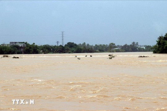 Khánh Hòa: Lũ trên các sông đang lên, có khả năng vượt mốc lũ lịch sử