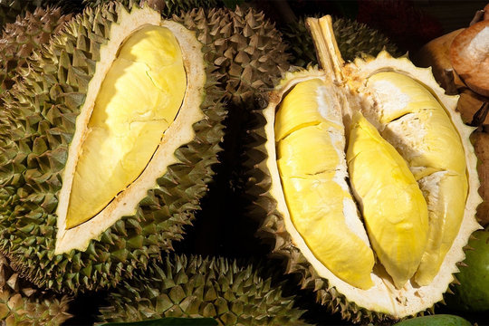 Giá sầu riêng Thái ngày 21/11 vọt lên 115.000 đồng/kg