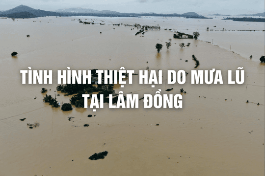 Mưa lũ tại Lâm Đồng gây thiệt hại hơn 1.000 tỷ đồng
